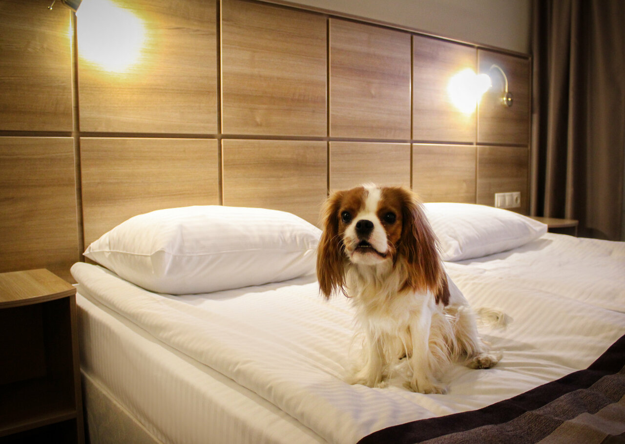 Гостиница Охтинская Санкт-Петербург-93